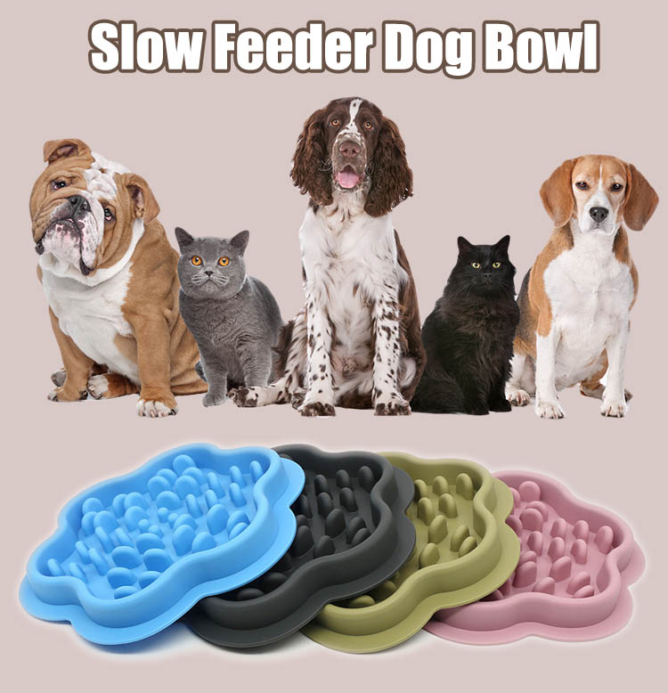 slow dog feeder